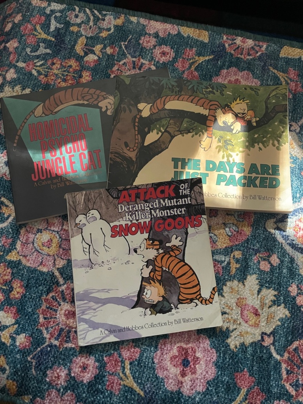 Calvin and Hobbes Collection - Multicolor Book Set
